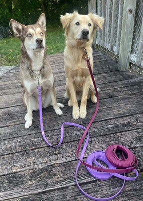 Long Dog Leash 10 to 20 feet Five Eighths Inch Wide Biothane Waterproof Training Leash Custom Colors and Clasps Steel Brass Nickel SS MakerPlace by Michaels